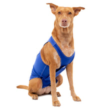 Load image into Gallery viewer, PRODOGG™ Anti-Anxiety Compression Shirt - Large to 2XL 159101B
