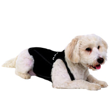 Load image into Gallery viewer, PRODOGG™ Anti-Anxiety Compression Shirt - Small - Medium 159101A
