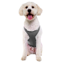Load image into Gallery viewer, PRODOGG™ Anti-Anxiety Compression Shirt - Small - Medium 159101A
