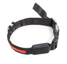 Load image into Gallery viewer, PRODOGG™ LED Collar, USB Rechargeable 195203
