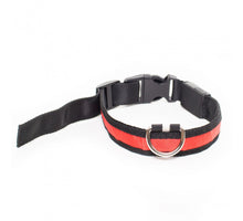 Load image into Gallery viewer, PRODOGG™ LED Collar, USB Rechargeable 195203
